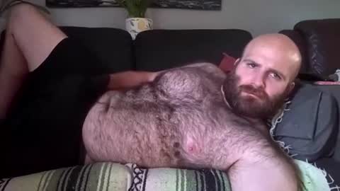 Hairiest Bear online show from 07.31.26