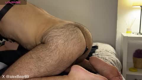 hairyarabbear online show from 09.12.25