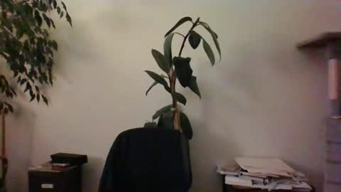 hairypussylover089 online show from 06.24.26