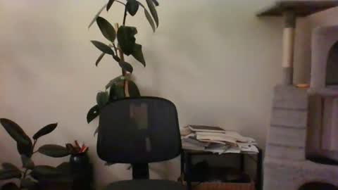 hairypussylover089 online show from 07.12.26