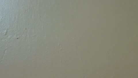 hamhead71 online show from 02.04.25