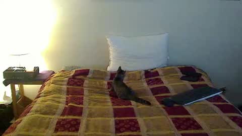 hammerthatthang73 online show from 10.16.25