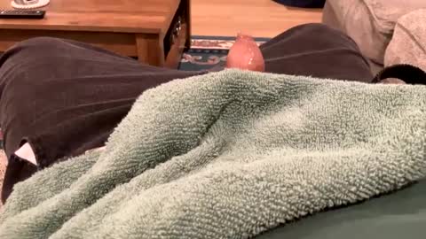 handhugger online show from 12.27.24