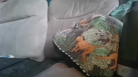 handncocknocum online show from 01.06.26