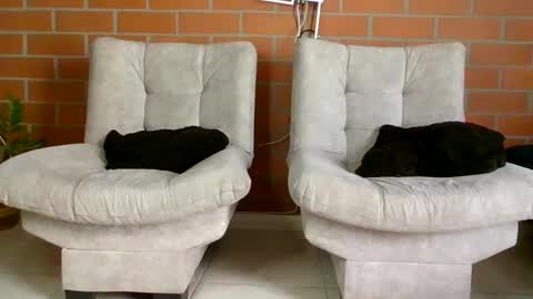 hanna online show from 01.20.25