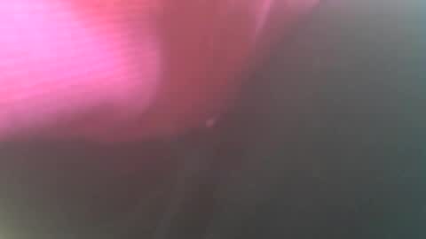 Snapshot of hannes_k chatting on 12.26.24 hannes_k online show from 12.26.24