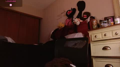 meatwad online show from 12.23.25