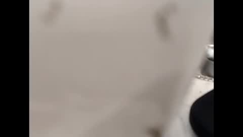 hardandhorny422 online show from 10.12.25