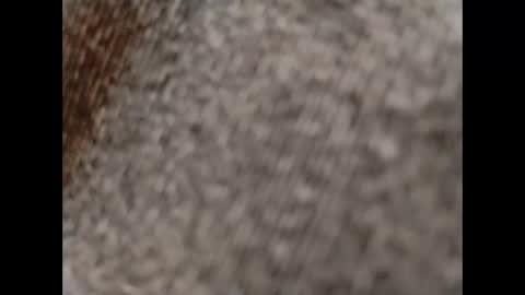 hardandhorny422 online show from 10.15.25