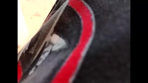 hardandhorny422 online show from 10.16.25