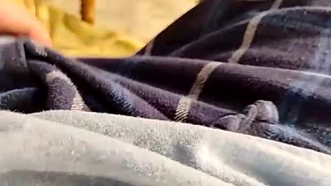 hardandhorny422 online show from 11.30.25