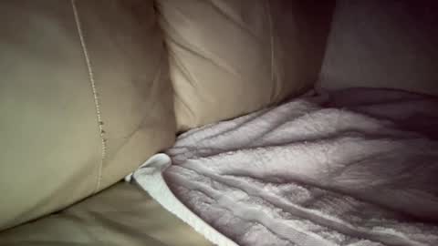 Slim West Cox online show from 12.20.24