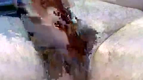 Snapshot of hardonjohnny68 chatting on 12.02.25 Hardonjohnny68 online show from 12.02.25