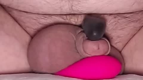 Snapshot of harfang23 chatting on 02.13.26 Paul online show from 02.13.26