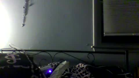 Snapshot of harleywestinc chatting on 03.29.26 harleywestinc online show from 03.29.26