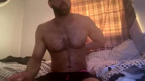 harry786167 online show from 04.12.26