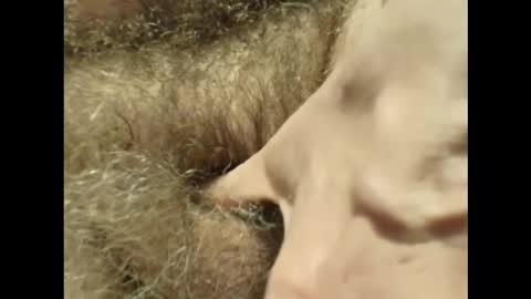 harry_banana online show from 11.30.25