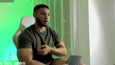 Harry Zandes online show from 02.21.25