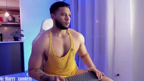 Harry Zandes online show from 02.27.25