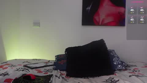 HARRY online show from 12.20.24