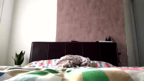 Snapshot of hayle_emmie chatting on 10.22.25 Hayle online show from 10.22.25