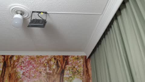 Snapshot of hellen_garcia chatting on 01.23.25 Hellen online show from 01.23.25