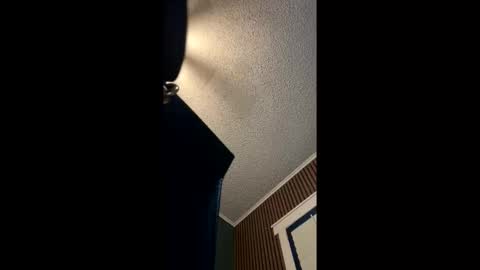 Hentai KittyXx online show from 05.20.26