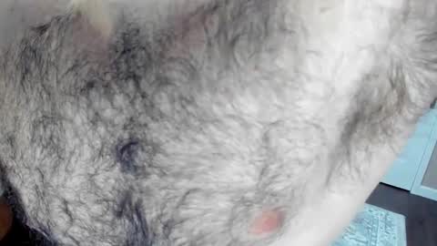 Snapshot of herewego42 chatting on 01.25.25 Wade Biggs online show from 01.25.25