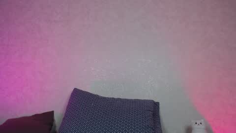 Hesssa Prime time  The broadcasts start at 3am and 3 pm London time  online show from 12.28.24