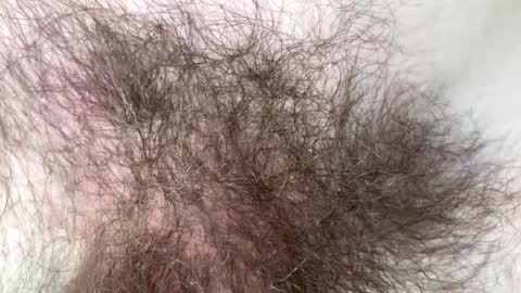 Arnold online show from 02.07.25