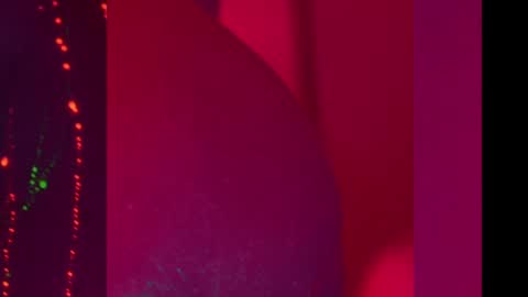 Alina online show from 12.11.24