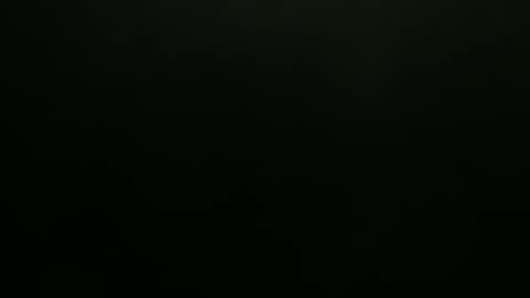 hibus_85 online show from 11.07.25