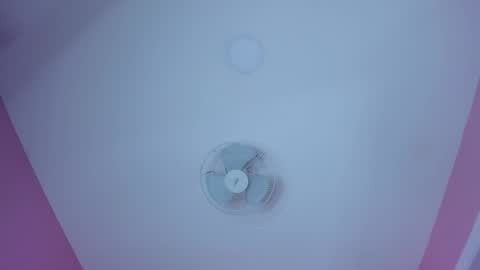 hilary_tailor online show from 12.20.25