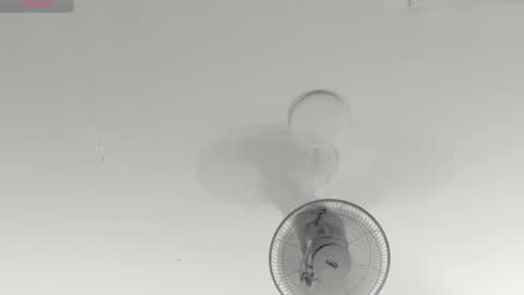 hilary_tailor online show from 01.15.26