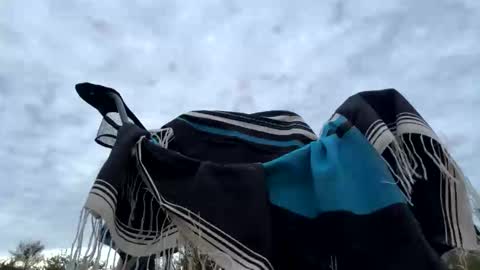 Snapshot of hippiezen chatting on 01.06.26 Hippie Jijm online show from 01.06.26