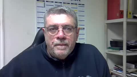 hippo online show from 12.11.24