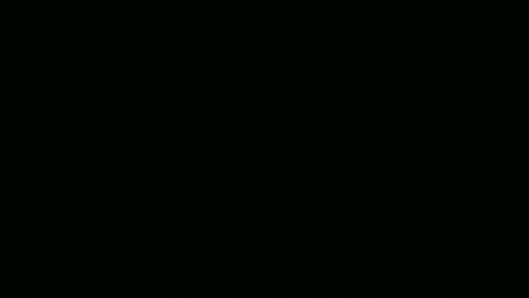 hofnung online show from 04.02.26