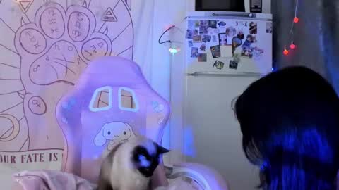 Ho Lee Sheet online show from 01.18.26