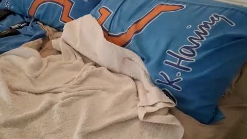 Snapshot of homer1976 chatting on 03.06.25 Homer online show from 03.06.25