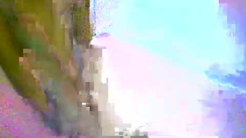 honey1963 online show from 03.01.26