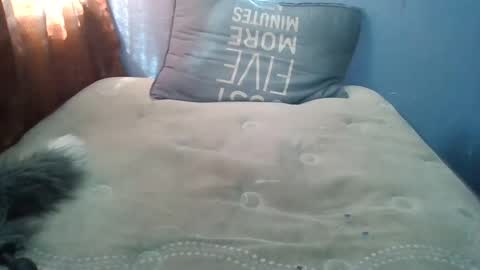 Snapshot of honeybut72uwu chatting on 09.19.25 Honeybut72 online show from 09.19.25