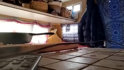 hoodoou online show from 12.20.25