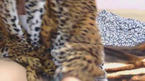 Snapshot of horny_hey chatting on 03.02.25 Serena online show from 03.02.25