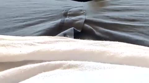 Snapshot of hornyallthetime6969696969 chatting on 04.25.26 Tiny cock online show from 04.25.26