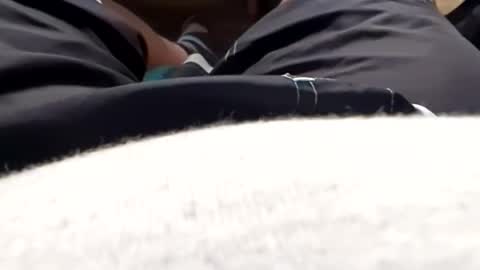 Snapshot of hornyallthetime6969696969 chatting on 05.17.26 Tiny cock online show from 05.17.26