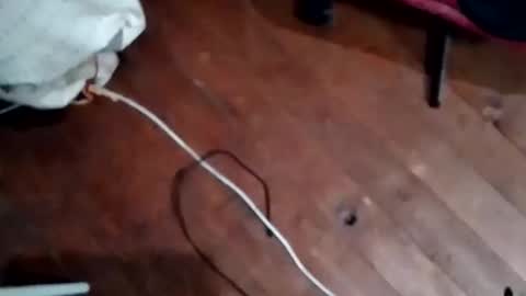 Snapshot of hornypaul84 chatting on 11.05.25 hornypaul84 online show from 11.05.25