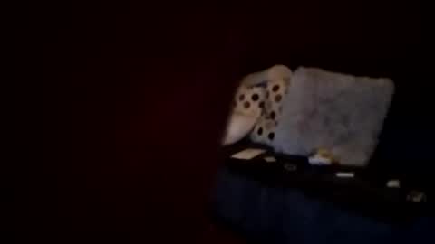 Snapshot of hornypaul84 chatting on 01.07.26 hornypaul84 online show from 01.07.26