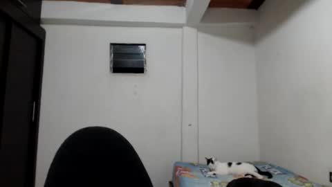 Snapshot of hot_angels___ chatting on 11.23.25 angels online show from 11.23.25