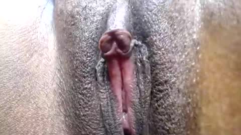 hotcake4567 online show from 02.25.26