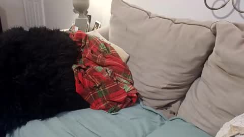 hotpepperose online show from 02.27.26